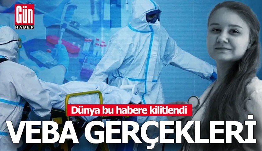 Dünya bu habere kilitlendi! Veba gerçekleri