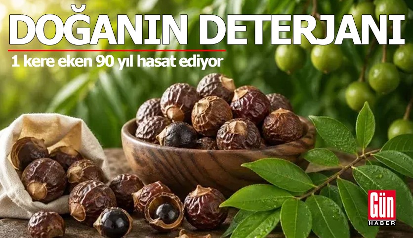 Suya değdiği an deterjan oluyor