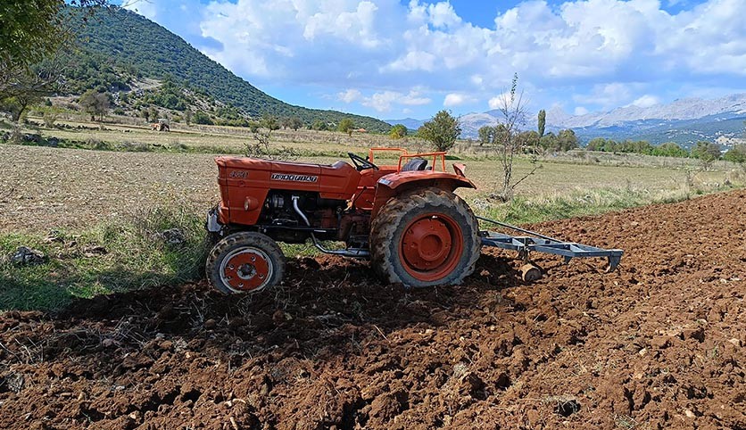 Tarla sürdüğü traktörün altında kalıp yaralandı