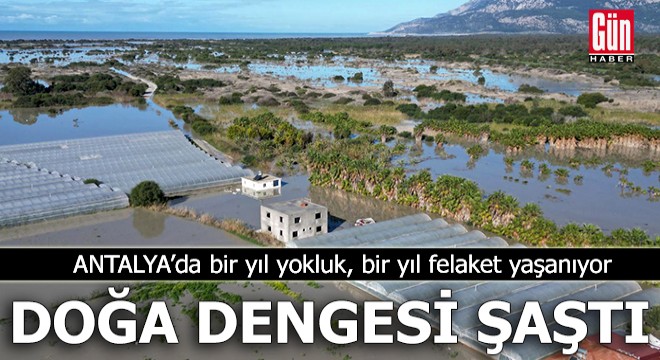 Antalya'da doğa dengesi şaştı: Bir yıl yokluk, bir yıl felaket
