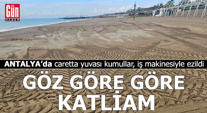 Antalya'da göz göre göre katliam