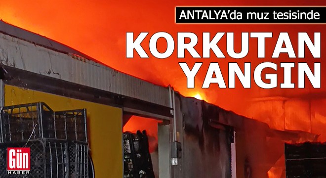 Antalya'da muz tesisinde korkutan yangın