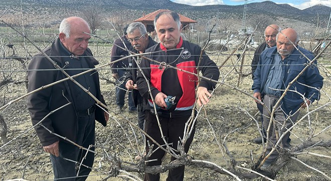 Antalya'da üreticilere budama eğitimi