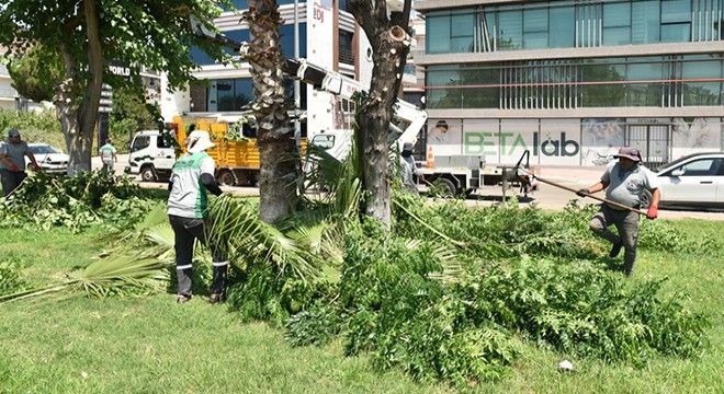 Antalya'daki ‘metruk’ tehlikeye ince temizlik
