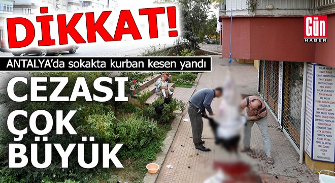 Dikkat! Antalya’da sokakta kurban kesen yandı