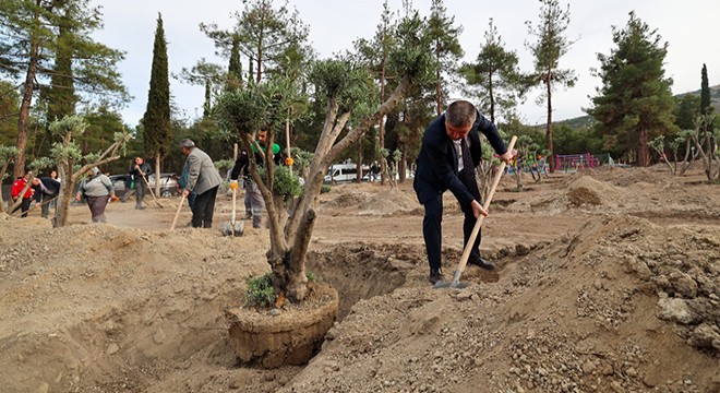 Ferdi Zeyrek anısına zeytinlik oluşturuldu