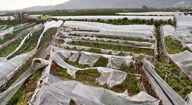 Finike’de zarar gören seralarda hasar tespiti başladı