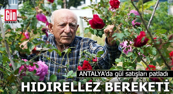 Hıdırellez bereketi: Antalya’da gül satışları patladı