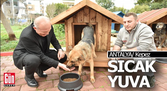 Kepez’de sokak hayvanlarına sıcacık yuvalar