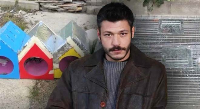 Kubilay Aka’dan sert çıkış: 'Kedileri kapanla toplamışlar'