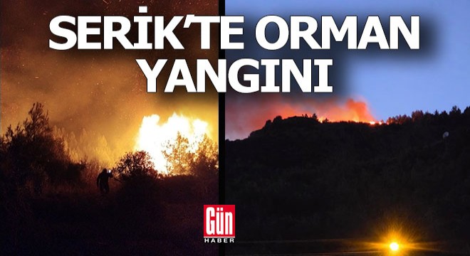 Serik'te orman yangını