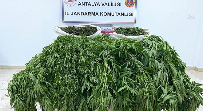 Serik’te uyuşturucu operasyonu: 1 tutuklu